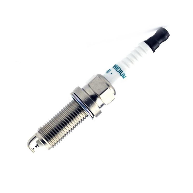 DILKAR6A-11.jpg