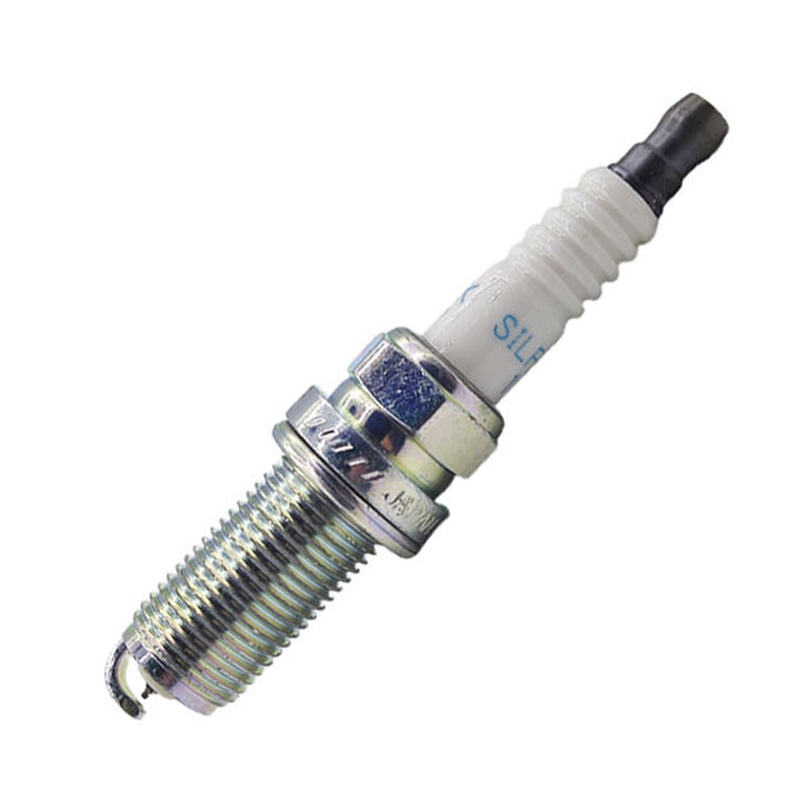 SILFR6A-11.jpg