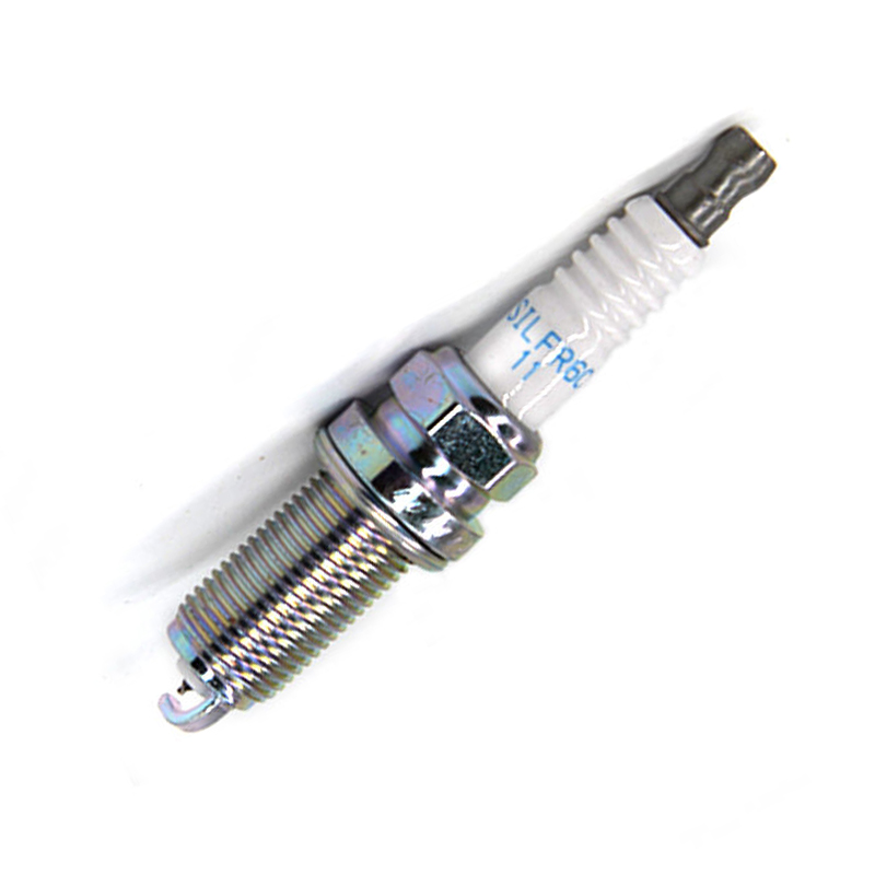 SILFR6C11.jpg