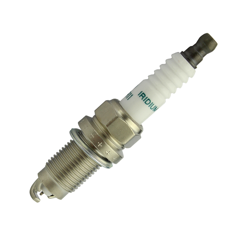 SK20BGR11.jpg