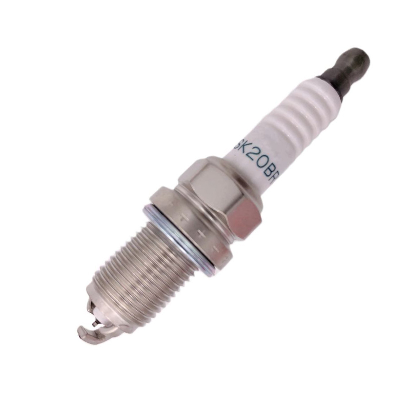 SK20BR11.jpg
